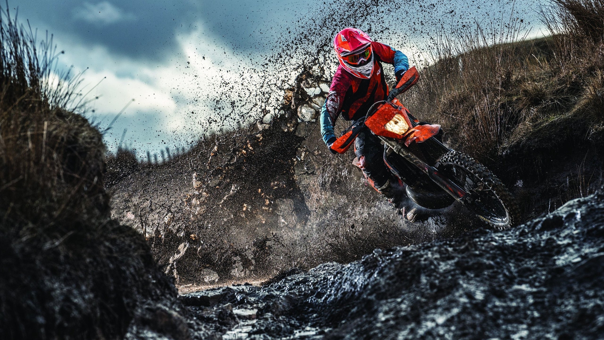 欧洲杯赛事志愿者故事暖心上热搜，欧洲杯活动口号