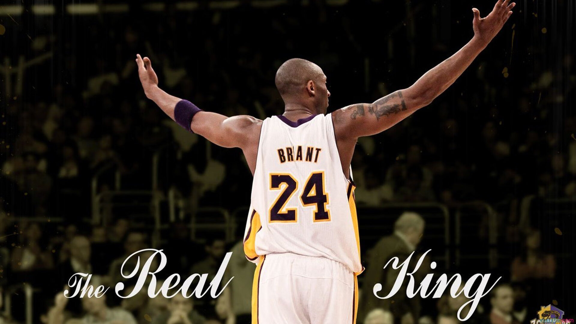 米兰体育(中国大陆)官网-技术动作柔和度对速度影响，技术动作柔和度对速度影响有哪些