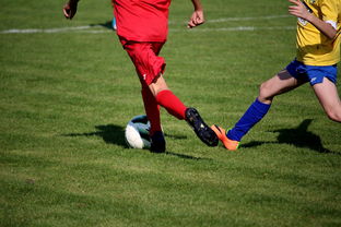 米兰体育正版平台-LPL多个队伍重组计划曝光转会期极度混乱，lpl战队转会期